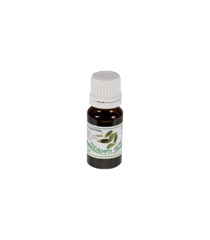 ETERIČNO ULJE EUKALIPTUSA 10ML PHARMAMED